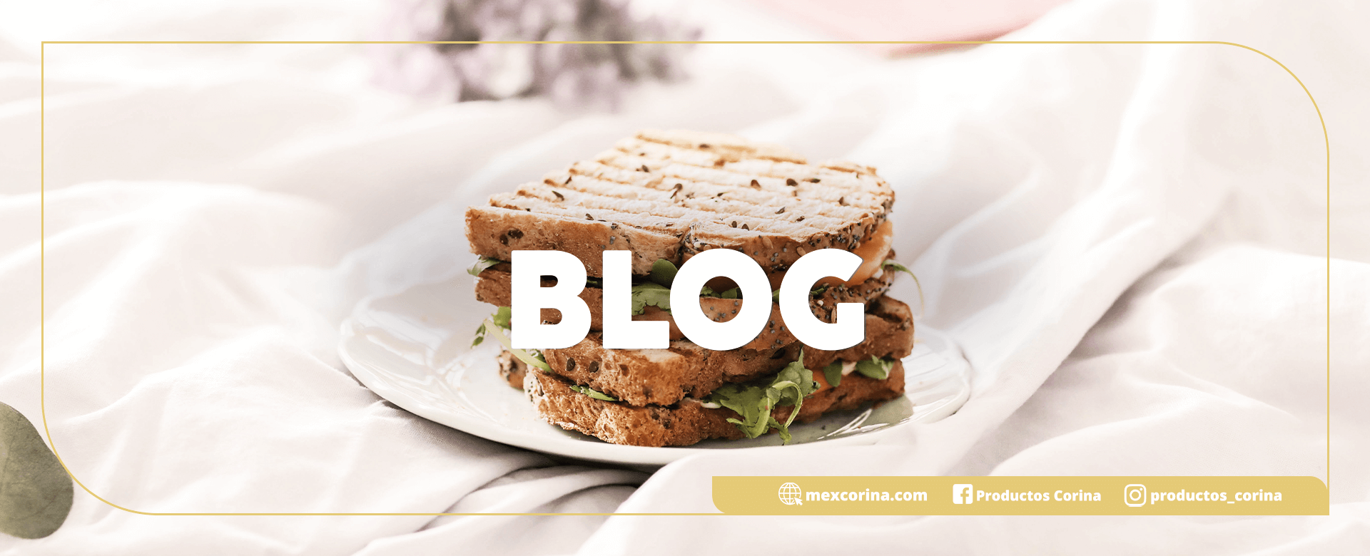 Blog